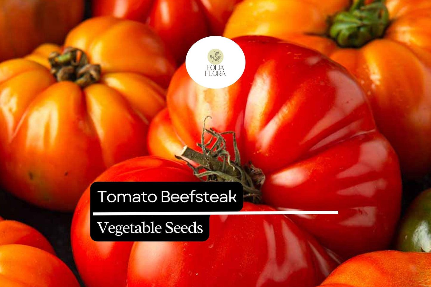 Beefsteak Tomato Seeds - 50 Heirloom Seeds, Juicy Red Fruits - Solanum lycopersicum for Vegetable Gardens and Containers