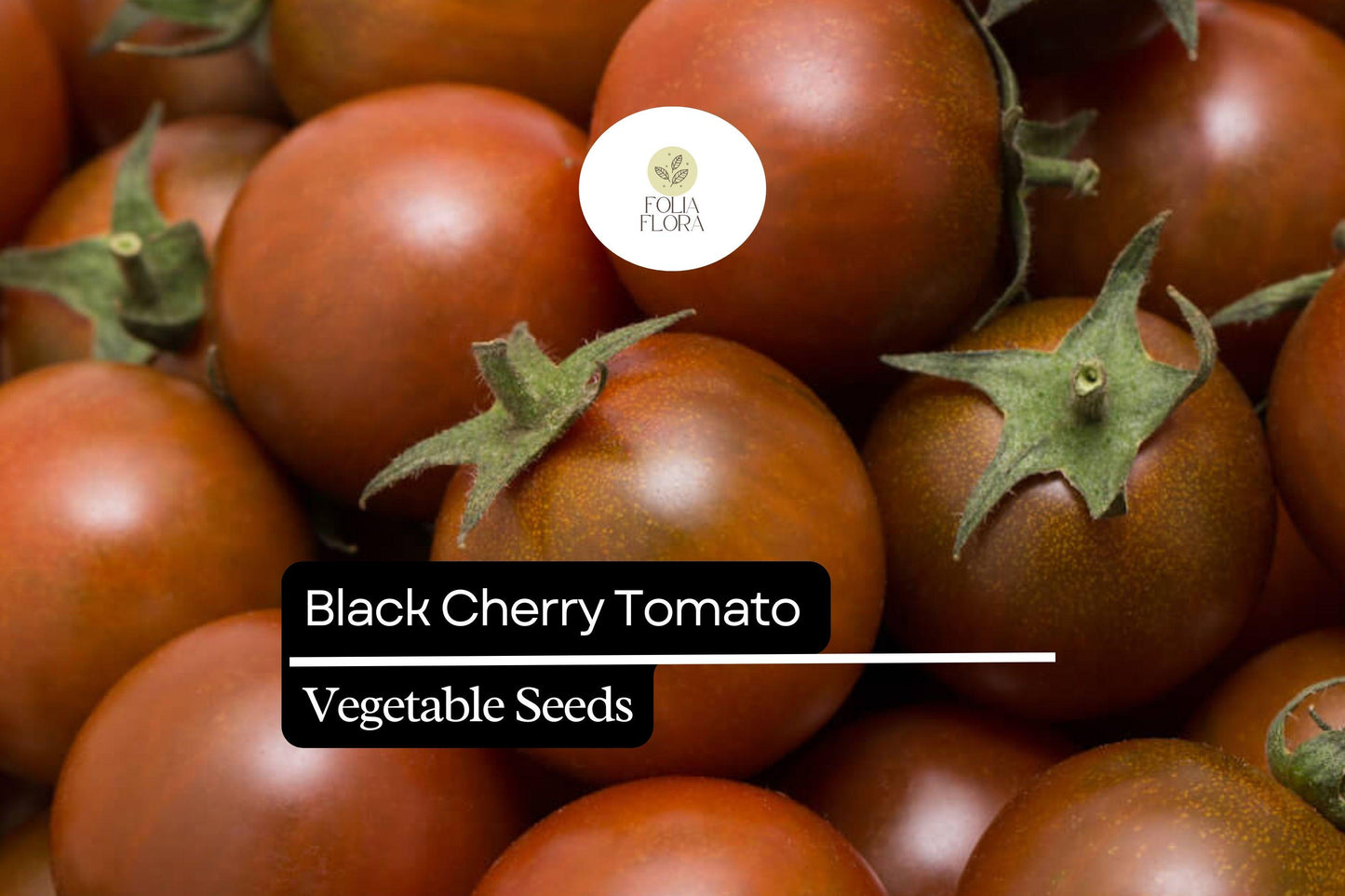 Black Cherry Tomato Seeds - 30 Heirloom Seeds, Sweet Dark Purple to Red Fruits, Solanum lycopersicum, High Yielding Variety