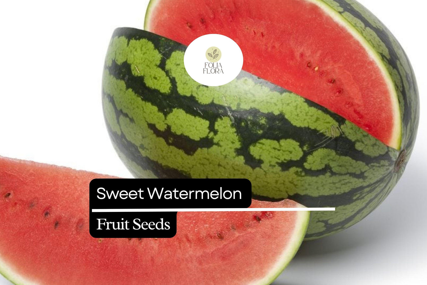 Sweet Watermelon Seeds - 25 Heirloom Seeds for Juicy Summer Fruit - Citrullus lanatus, Large Sweet Flavor, Green Rind, Red Flesh