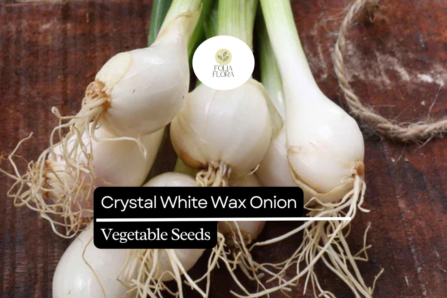 200 Seeds Crystal White Wax Onion, Mild & Sweet Pearl Onion, Allium Cepa, Ideal for Pickling & Roasting