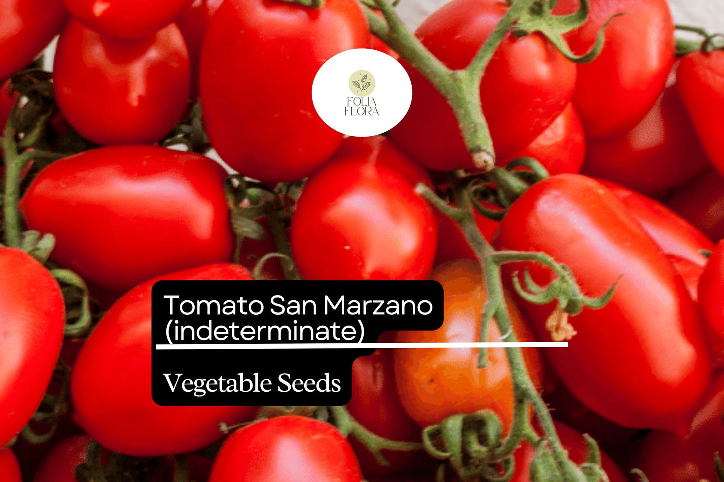 San Marzano Tomato Seeds 100mg | Heirloom, Non-GMO, Italian Tomato, Solanum lycopersicum, Plum-shaped, Rich Flavor