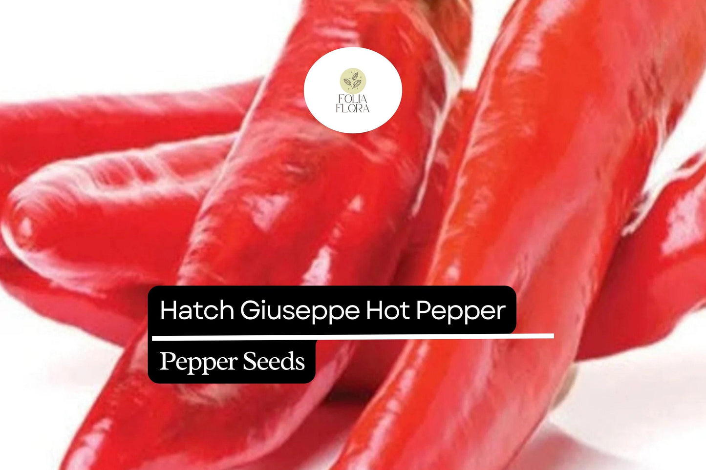 Hatch Giuzeppi Pepper Seeds | 250mg | Medium Heat, Rich Flavor | Capsicum Annuum - Ideal for Grilling and Salsas