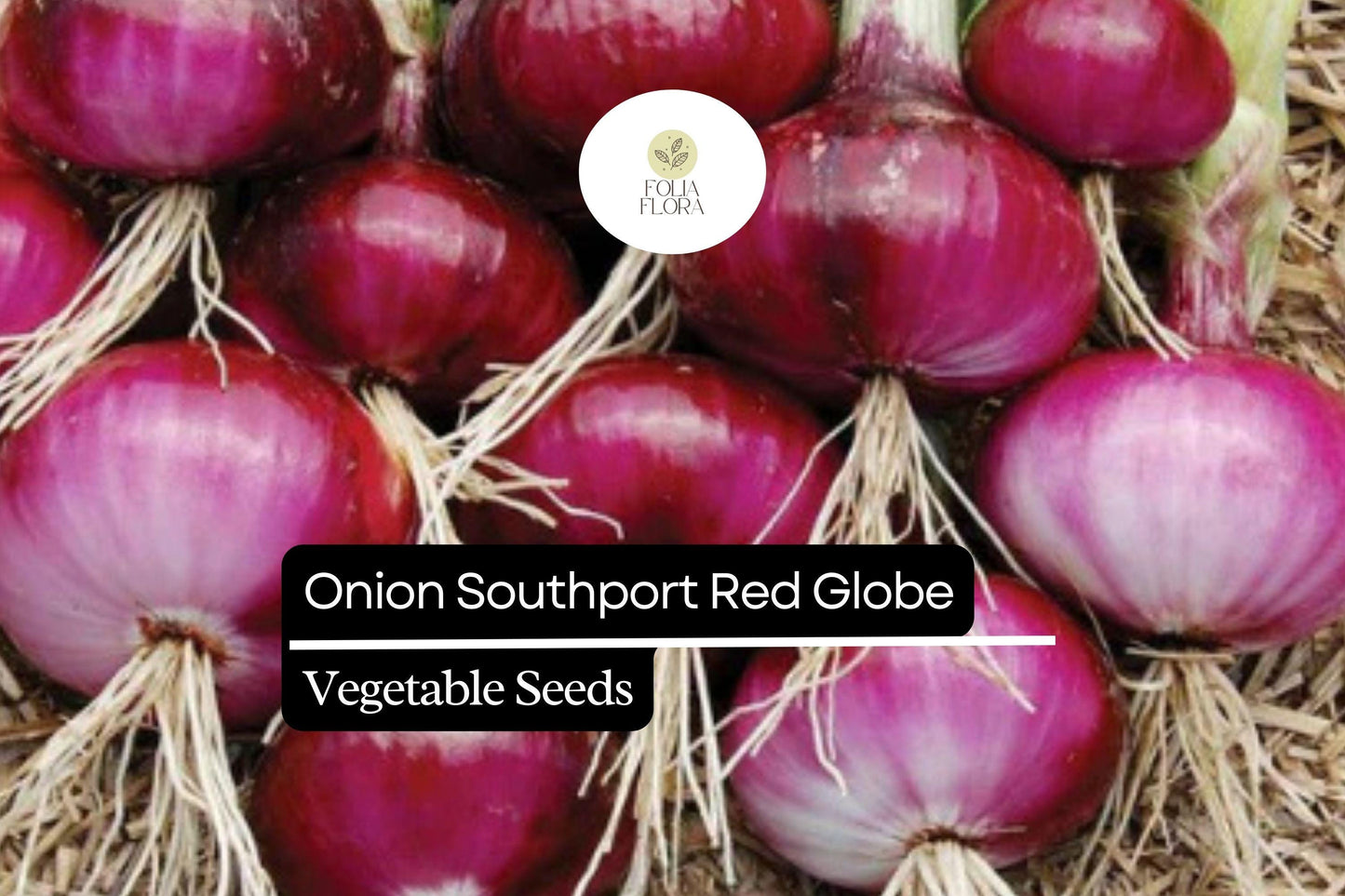 Southport Red Globe Onion Seeds | 250mg Heirloom Variety | Allium cepa | Crisp Flavor, Deep Red Skin, Excellent Storage