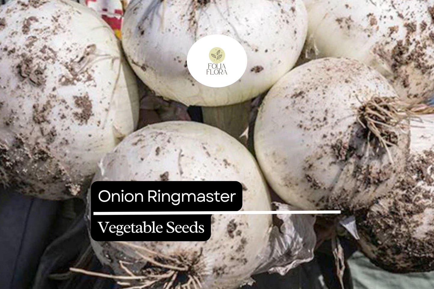 Onion Seeds 250mg | Ringmaster Variety | Crisp White Bulbs | Allium cepa | Sweet Flavor, Easy to Grow, Ideal for Cooking