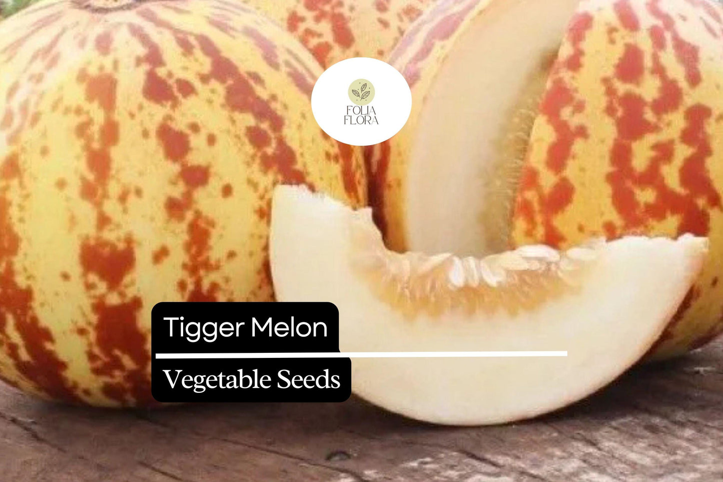 Tigger Melon Seeds - Heirloom Compact Variety with Striped Skin - Cucumis melo - Fragrant Sweet Flesh - Ideal for Home Gardens