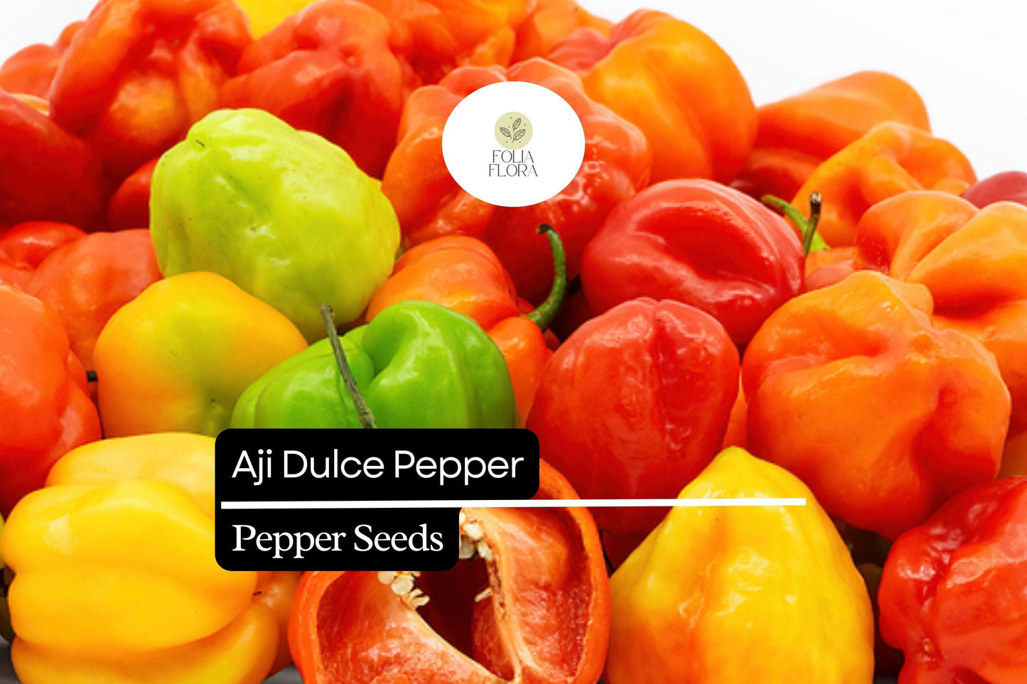 Aji Dulce Pepper Seeds - 10 Non-GMO Seeds, Sweet Mild Caribbean Pepper (Capsicum chinense) for Salsas & Sauces