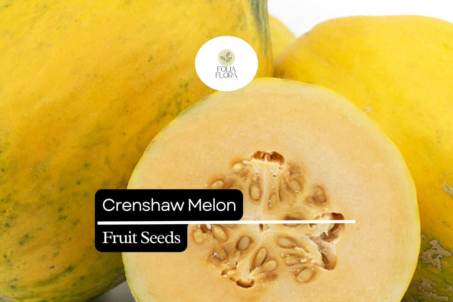 Crenshaw Melon Seeds - 20 Pack - Sweet Juicy Hybrid (Cucumis melo) - Golden-yellow Rind, Salmon-orange Flesh for Home Gardens