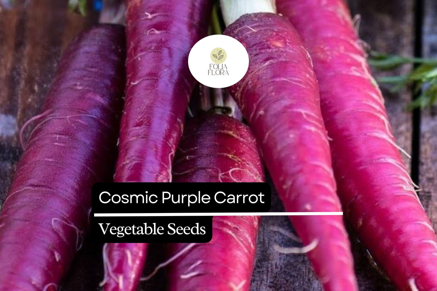 300 Seeds Cosmic Purple Carrot - Vibrant Purple Skin, Sweet Orange Core - Daucus carota Heirloom Vegetable Seeds