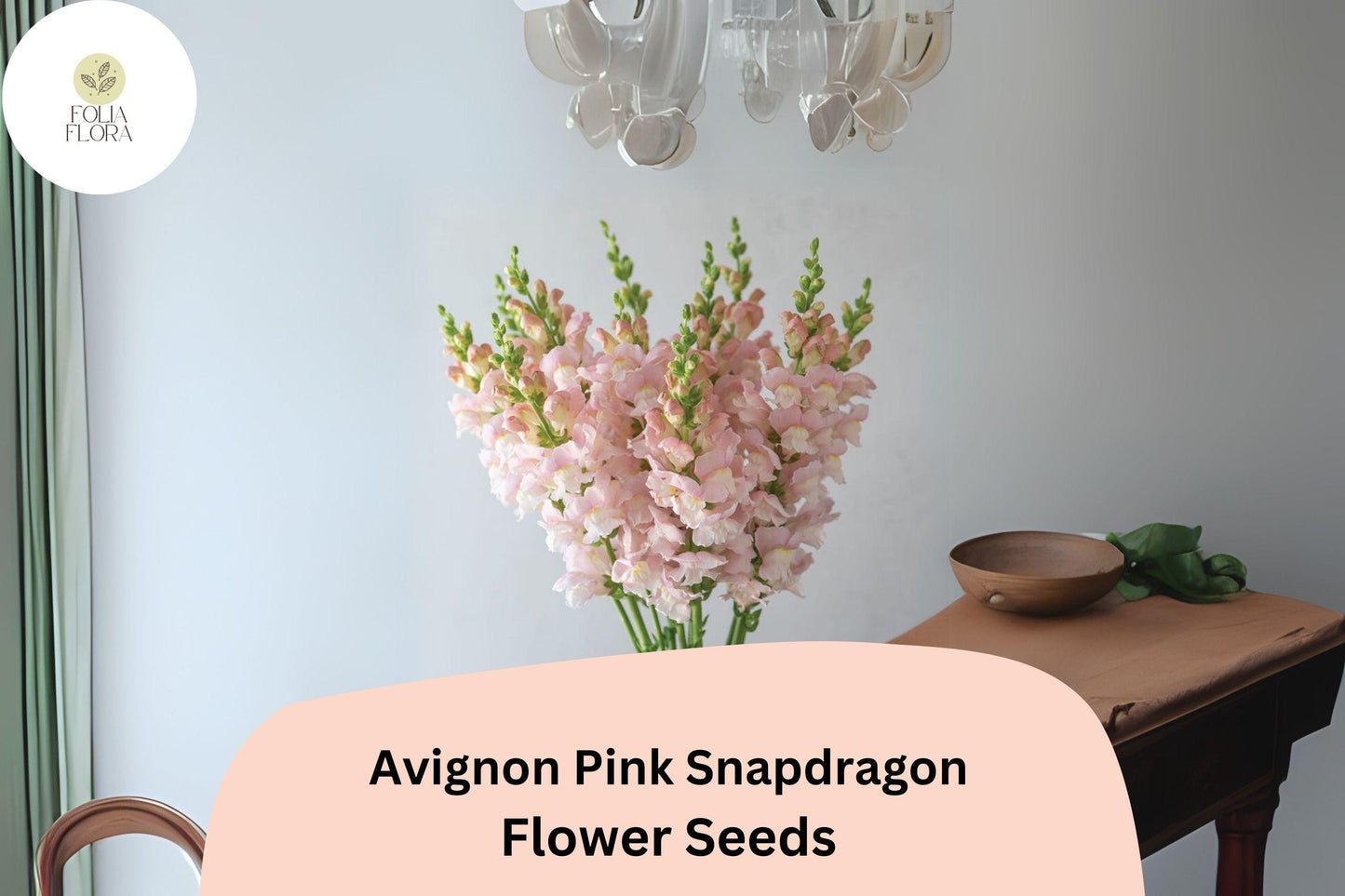 Snapdragon Seeds - 1000+ Avignon Pink Blush Blooms - Antirrhinum majus - Pollinator-Friendly, Long-Blooming Annual Garden Flowers