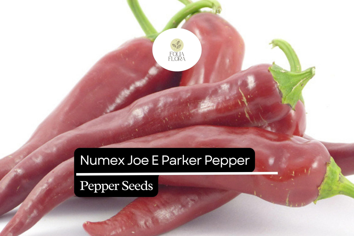 NuMex Joe E. Parker Pepper Seeds - Heirloom Non-GMO Mild Hatch Chile (Capsicum annuum) - Perfect for Roasting & Grilling