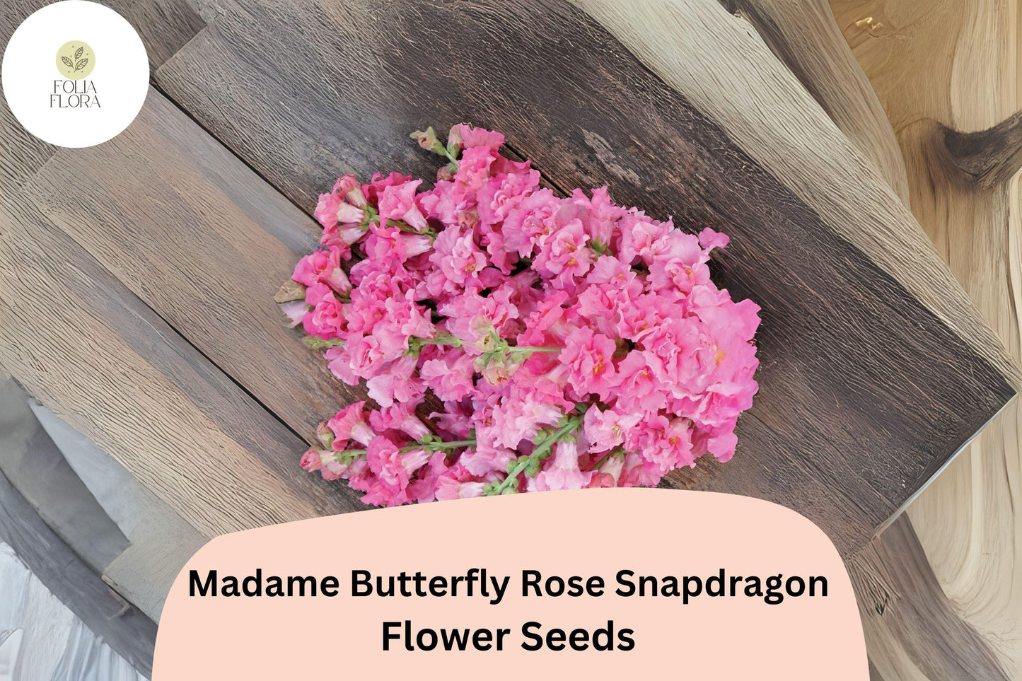 Snapdragon Seeds - 1000+ Madame Butterfly Rose - Antirrhinum majus - Ruffled Blooms for Garden & Cut Flowers, Pollinator-Friendly