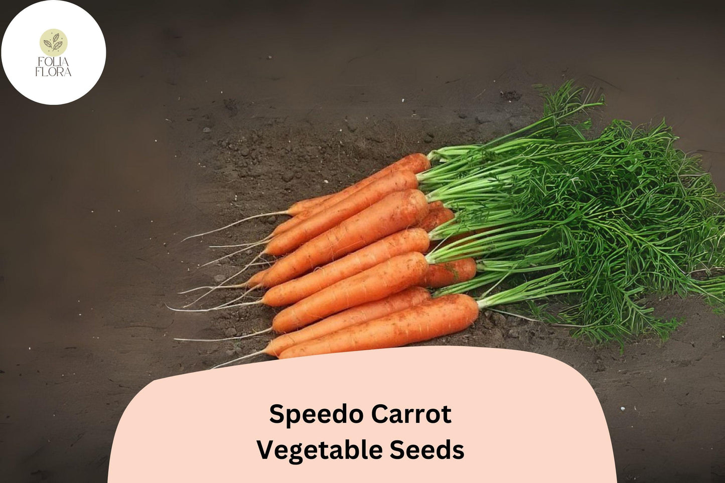 Speedo Carrot Seeds - 1000+ Fast-Growing, Sweet, Tender Variety - Daucus carota - Deep Orange Roots for Home & Market Gardens