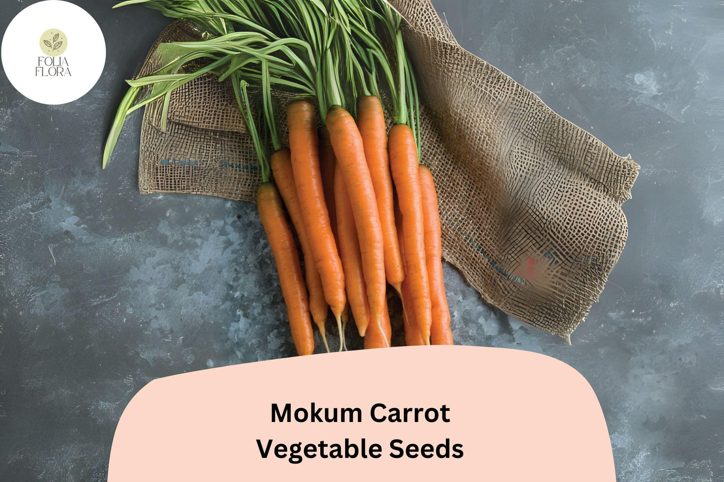 Mokum Carrot Seeds 1000+ Count - Sweet, Crisp, Early Maturing Hybrid (Daucus carota) - Perfect for Home & Market Gardens