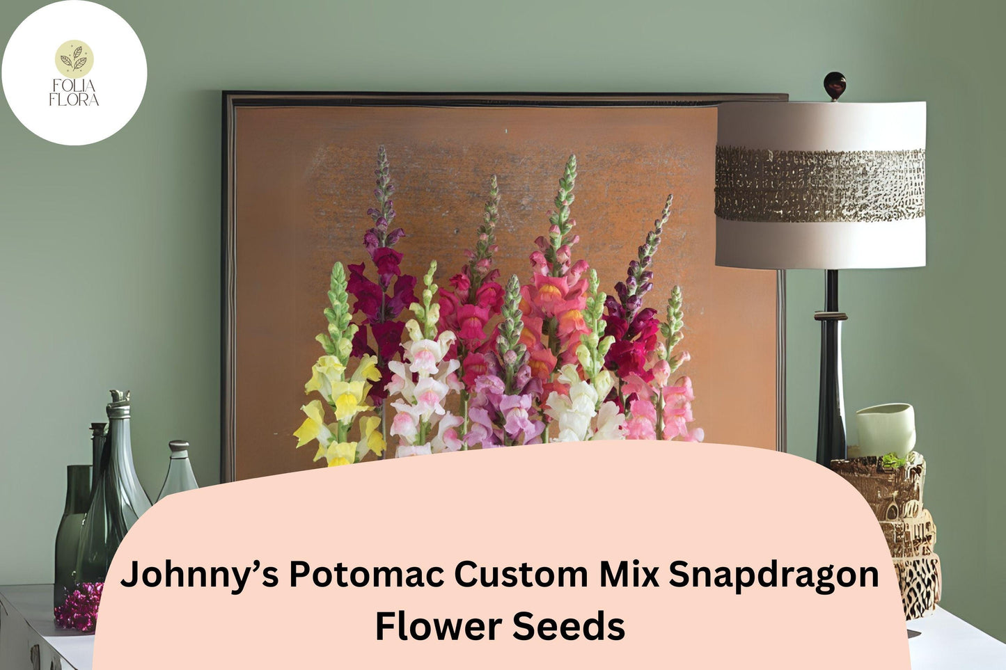 Snapdragon Flower Seeds - 1000+ Johnny's Potomac Custom Mix - Antirrhinum majus - Vibrant, Tall, Pollinator-Friendly Blooms