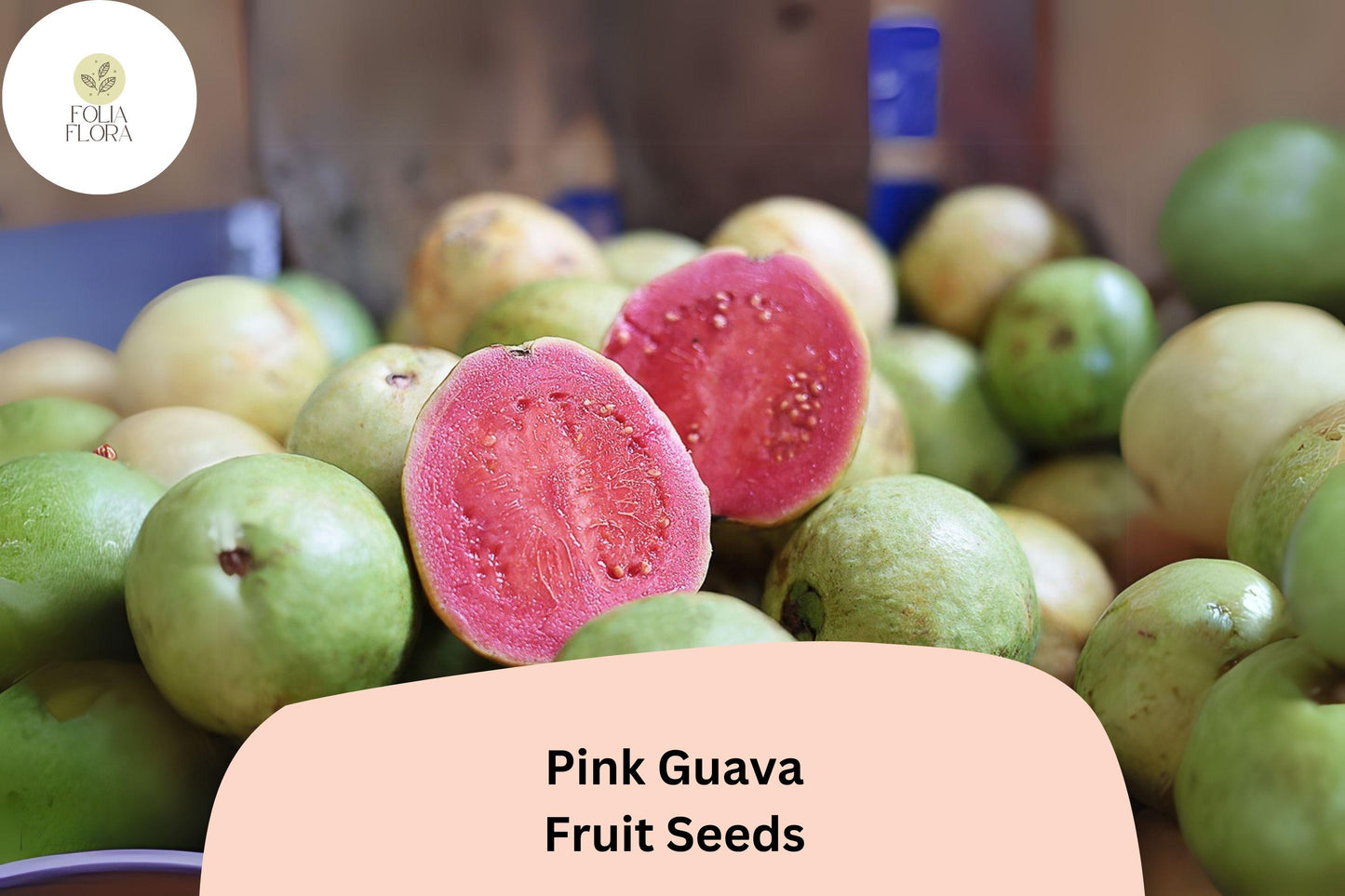 50pcs Organic Strawberry Guava Seeds - Pink Guava (Psidium cattleianum) - Tropical Fruit Tree for Home Gardens & Container Growing