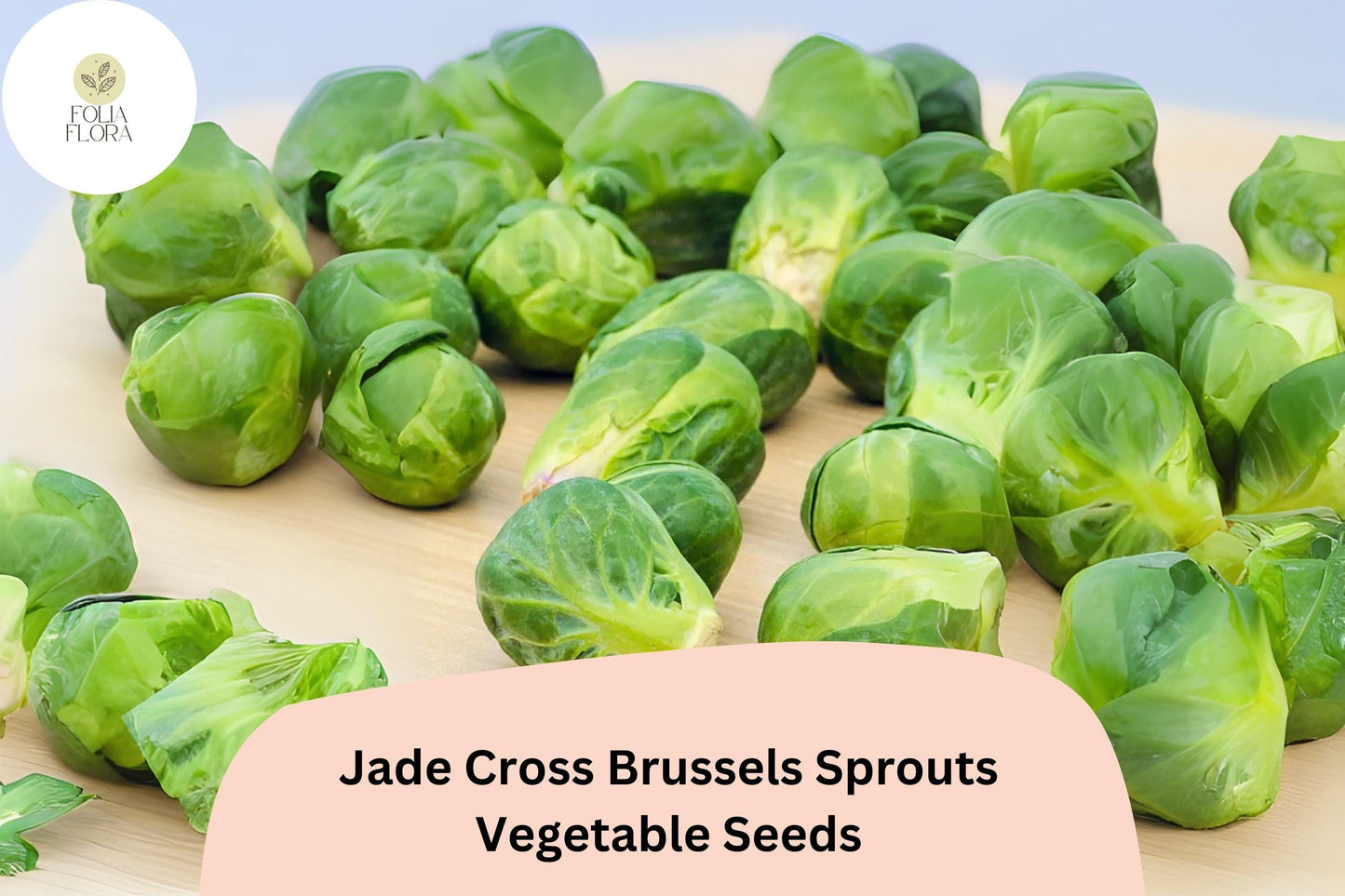 500+ Jade Cross Brussels Sprouts Seeds - Cold-Hardy, High-Yield Hybrid - Brassica oleracea
