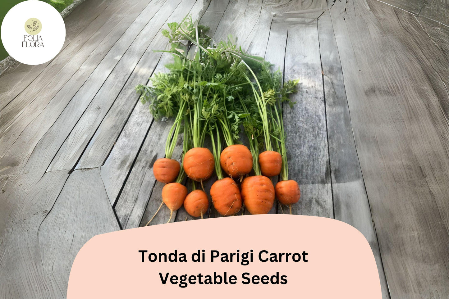 1000+ Tonda di Parigi Carrot Seeds - Heirloom Round Baby Carrots - Sweet Crunchy Flavor - Perfect for Containers and Small Gardens