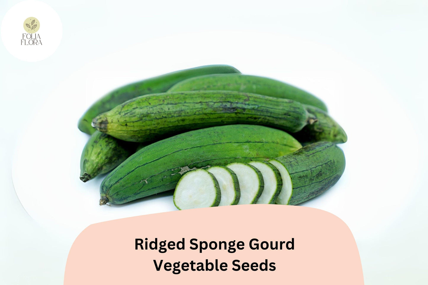 Ridged Sponge Gourd Seeds - 20pcs Heirloom Luffa Seeds for Vertical Gardening - Luffa acutangula, Ridge Luffa