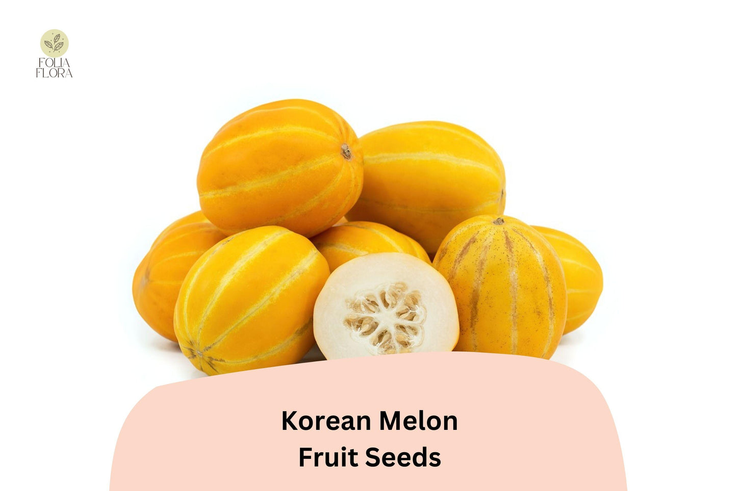 Korean Melon Seeds - 120+ Heirloom Sweet Yellow-Striped Melon (Cucumis melo var. makuwa) for Home Garden, Non-GMO