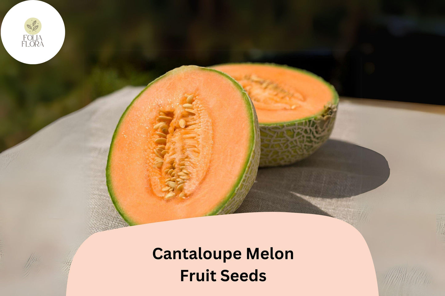 Cantaloupe Melon Seeds - 25 Heirloom Seeds for Summer Garden - Cucumis melo - Sweet Juicy Fruit, Non-GMO, Easy to Grow