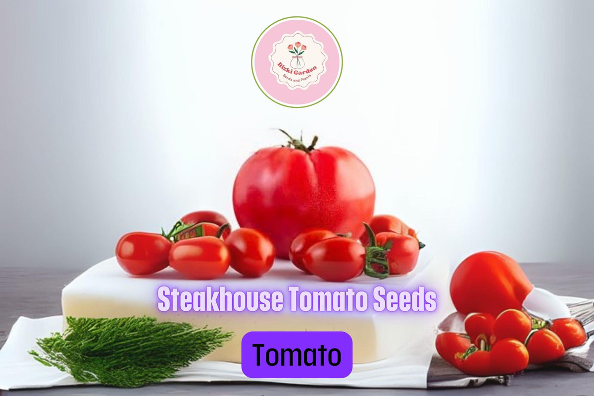 Steakhouse Tomato Seeds - 20+ Non-GMO Beefsteak Variety (Solanum lycopersicum) for Slicing, Grilling & Garden Beds