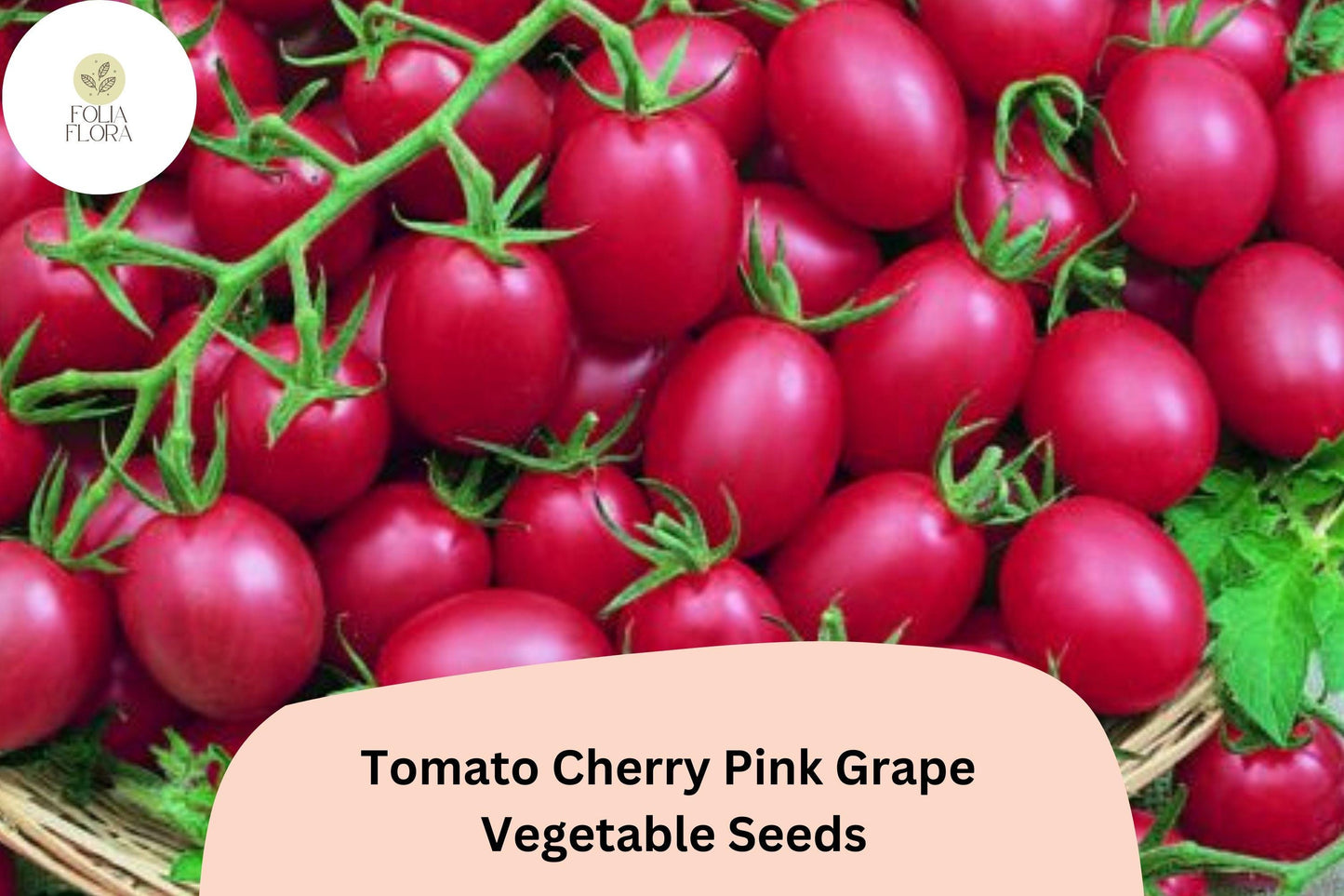 200 Pink Grape Cherry Tomato Seeds | Heirloom Non-GMO | Solanum lycopersicum | Sweet Flavor for Gardens & Containers