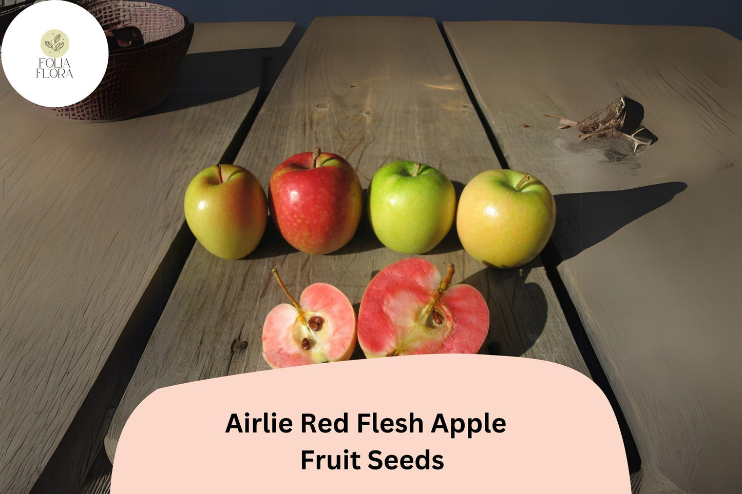 Airlie Red Flesh Apple Seeds | 25+ Heirloom Seeds | Sweet-Tart Flavor | Malus domestica | Unique Red Flesh Variety