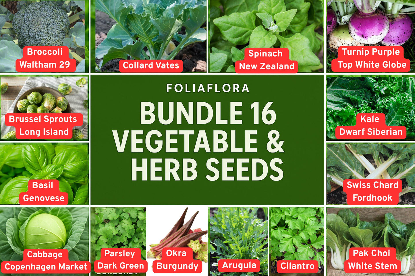 Vegetable Herb Seed Bundle - 16 Varieties - Non-GMO Home Gardening Seeds for Kale, Basil, Spinach, Cilantro, Brassica oleracea