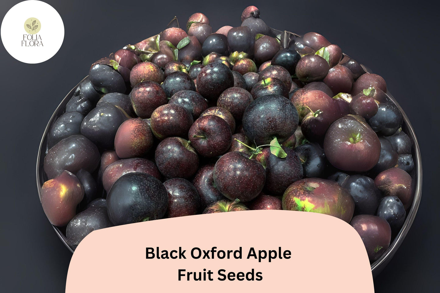 Black Oxford Apple Seeds | 25+ Heirloom Seeds | Malus domestica | Unique Dark Purple Skin, Sweet Flavor, Cold Hardy