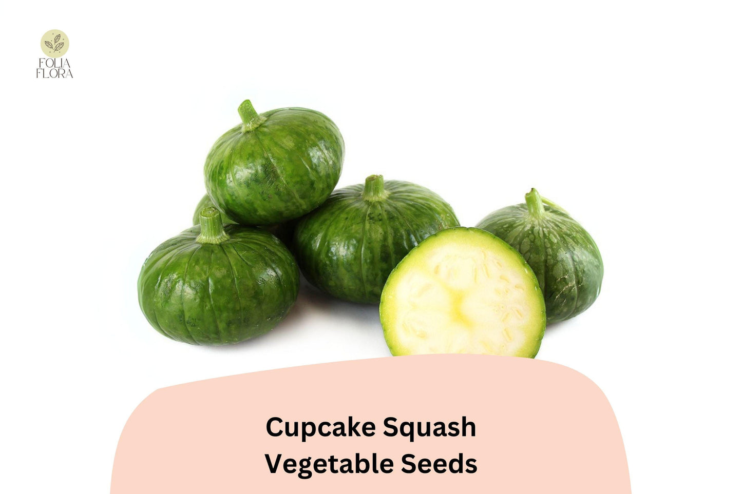 Cupcake Squash Seeds | 25+ Patty Pan Zucchini Seeds | Cucurbita pepo | Easy Grow, High Yield, Perfect for Grilling & Stuffing