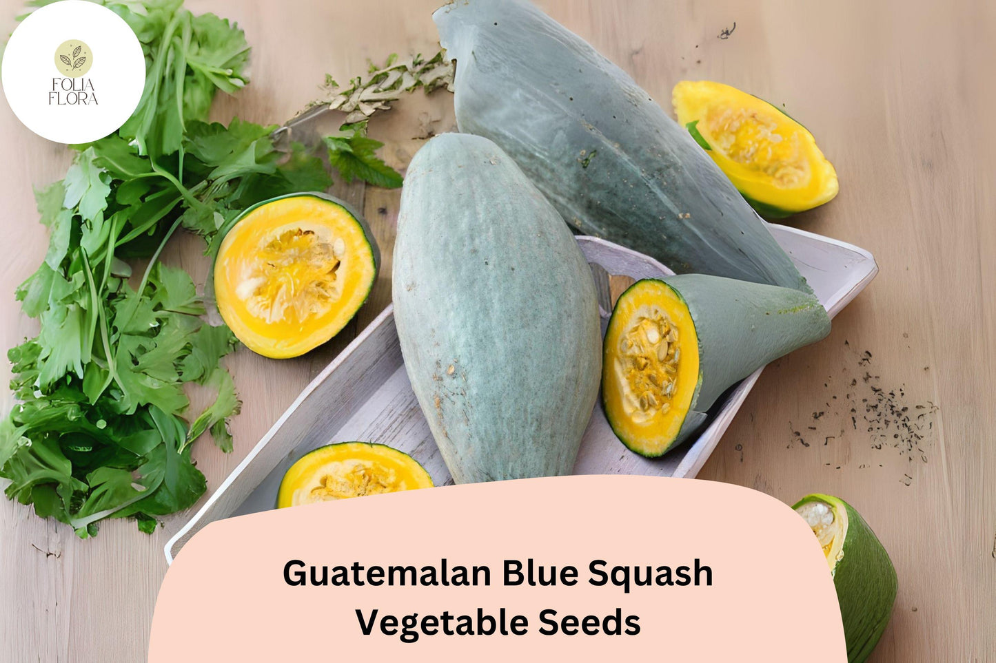 Guatemalan Blue Squash Seeds | 25+ Rare Heirloom Seeds | Cucurbita maxima | Nutty Orange Flesh, Blue-Green Skin