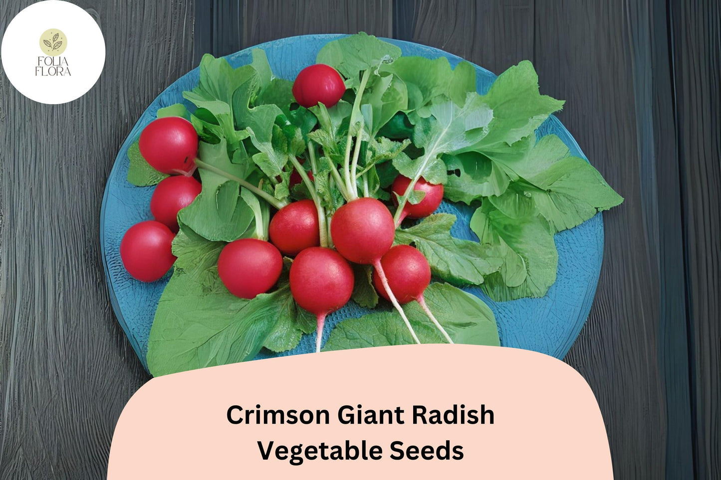 Crimson Giant Radish Seeds | 500+ Large Red Radish Seeds for Garden Planting | Raphanus sativus 'Crimson Giant'
