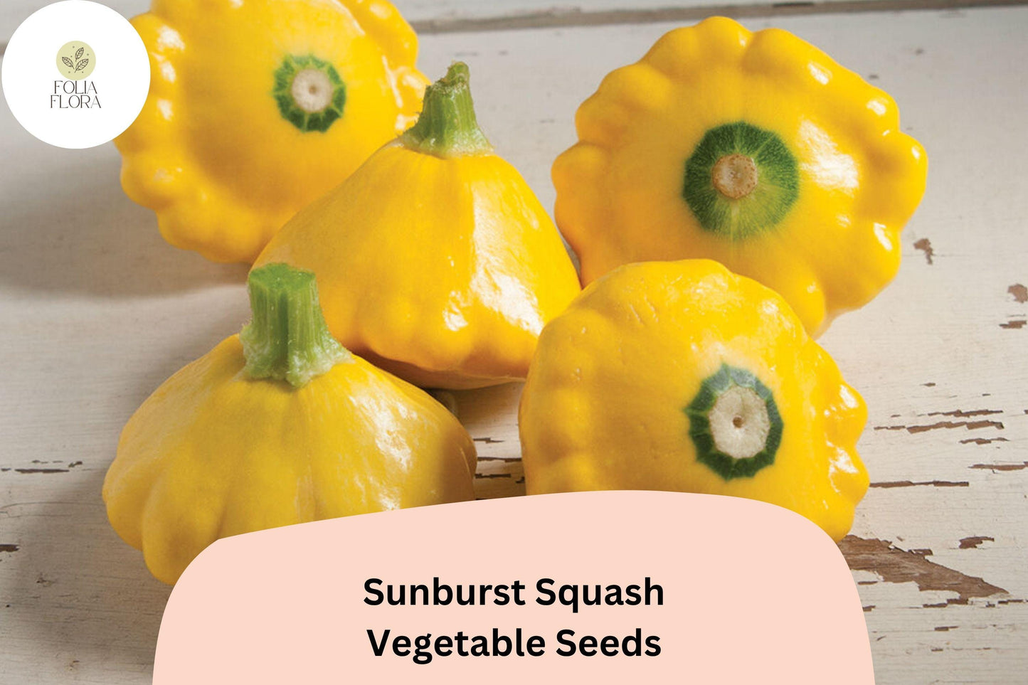 Sunburst Squash Seeds | 25+ Heirloom Yellow Patty Pan | Cucurbita pepo | Ideal for Grilling & Small Gardens