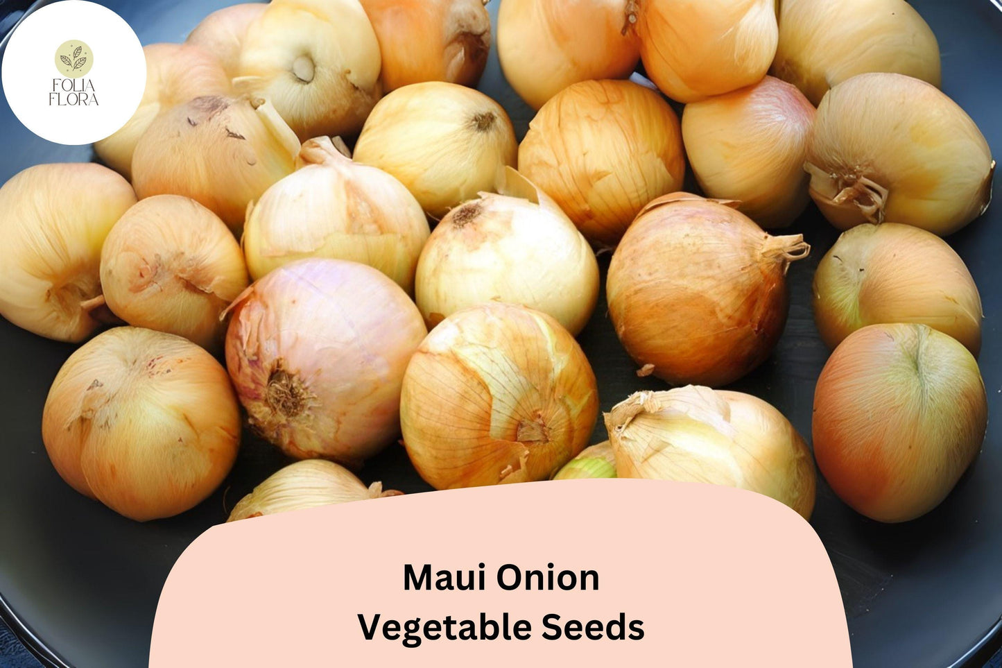 Maui Onion Seeds, 500+ Count, Sweet Mild Flavor, Golden-Yellow Bulbs, Allium cepa for Grilling & Salads