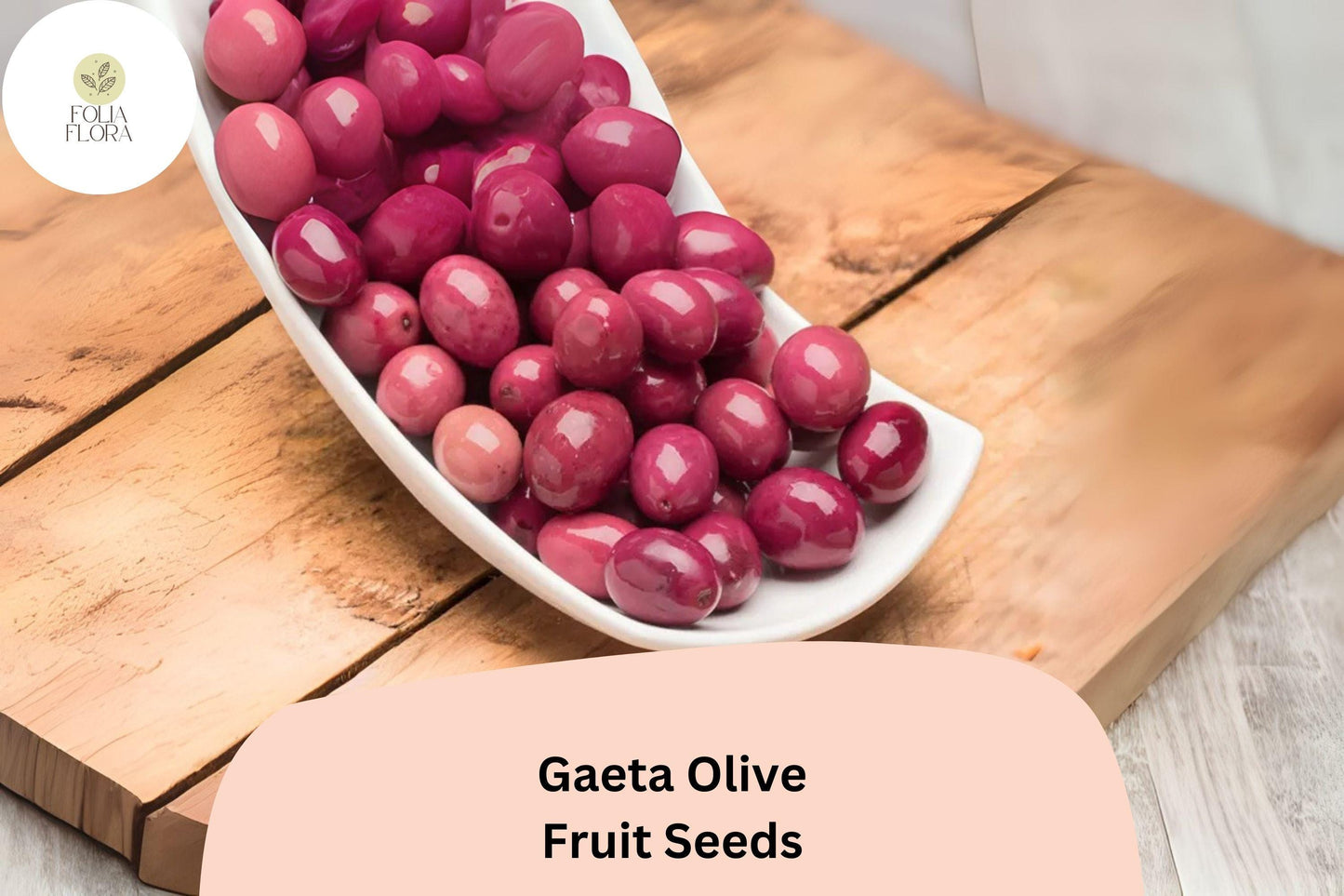 Gaeta Olive Tree Seeds | 10+ Italian Black Olive Seeds | Olea europaea | Drought-Tolerant Mediterranean Variety