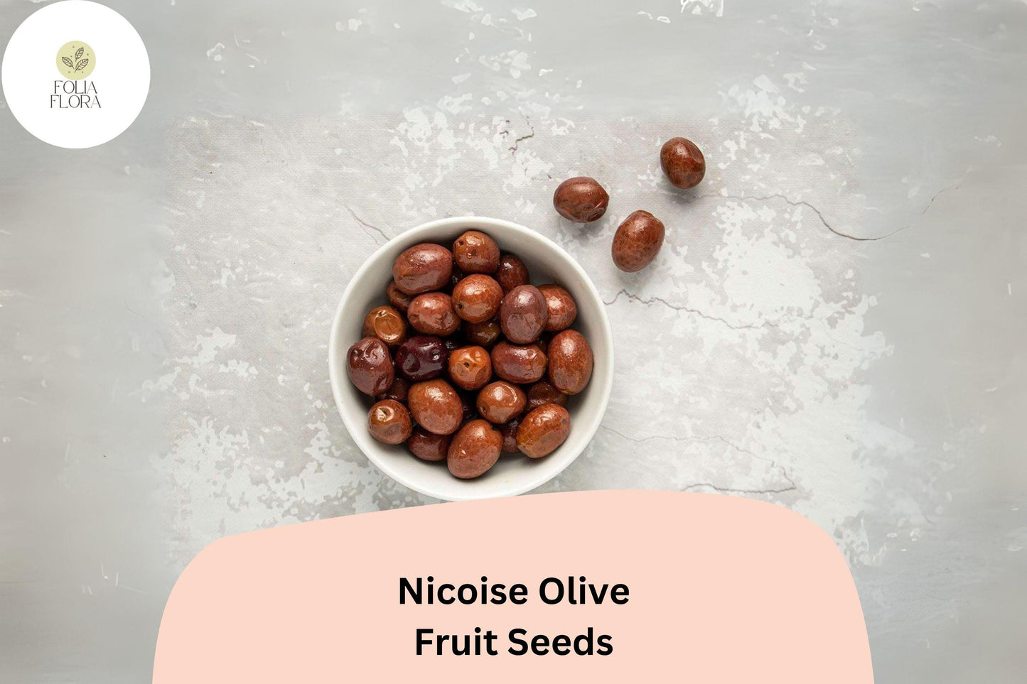 Niçoise Olive Seeds - 10+ Fresh Seeds, Mediterranean Olive Tree, Olea europaea, Ideal for Gardens, Pots, and Bonsai