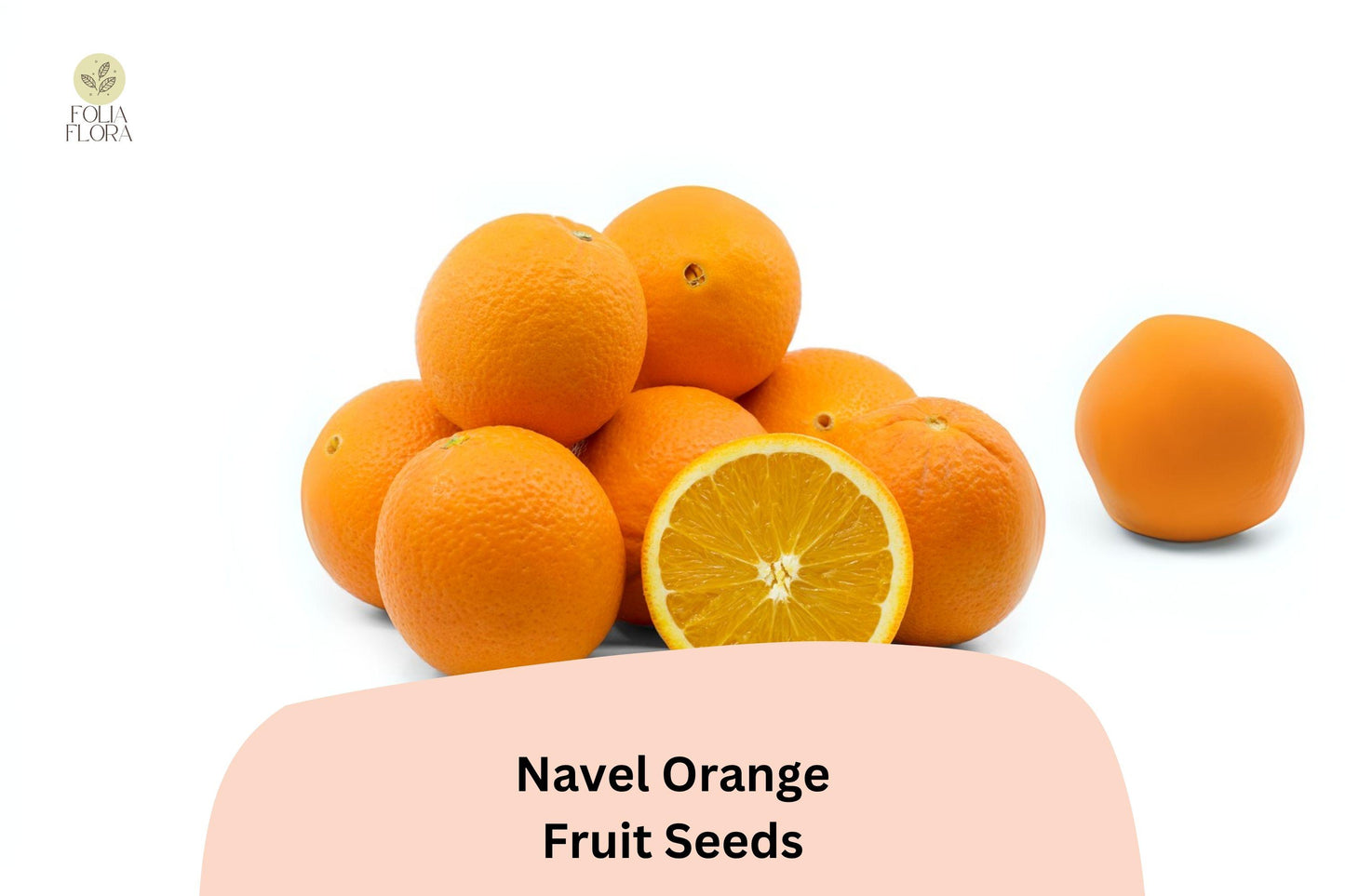 Navel Orange Seeds | 5+ Seedless Citrus Fruits | Sweet & Juicy | Citrus sinensis for Home Gardening