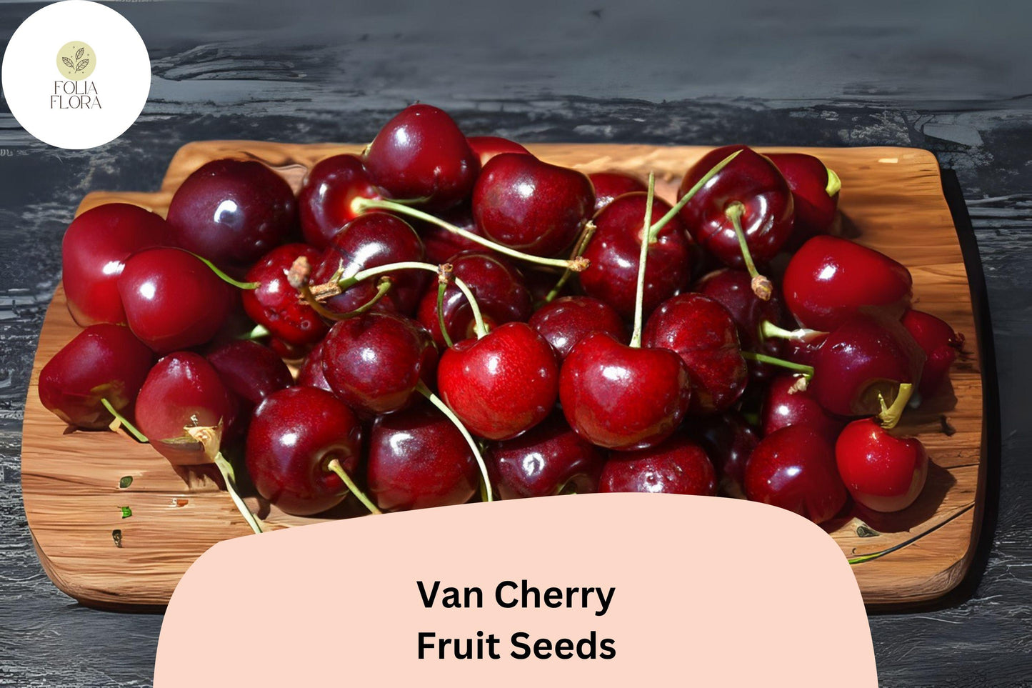 Van Cherry Tree Seeds | 10+ Non-GMO Sweet Black Cherry Seeds | Prunus avium ‘Van’ for Home Garden & Orchard Planting