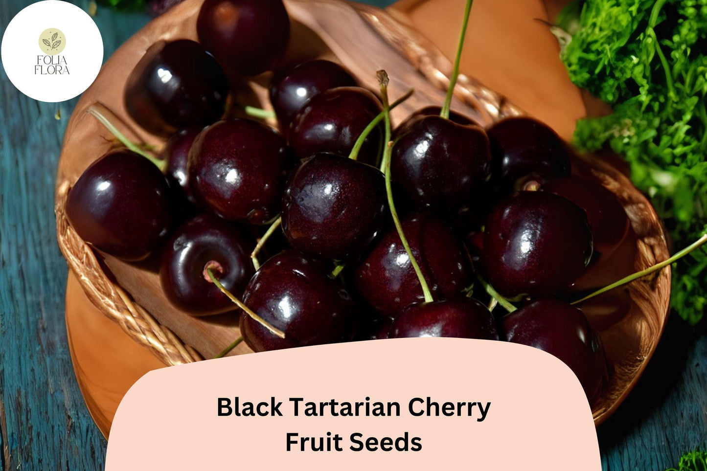 Black Tartarian Cherry Tree Seeds - 10+ Premium Seeds, Sweet Dark Fruit, Prunus avium ‘Black Tartarian’ for Gardens & Orchards