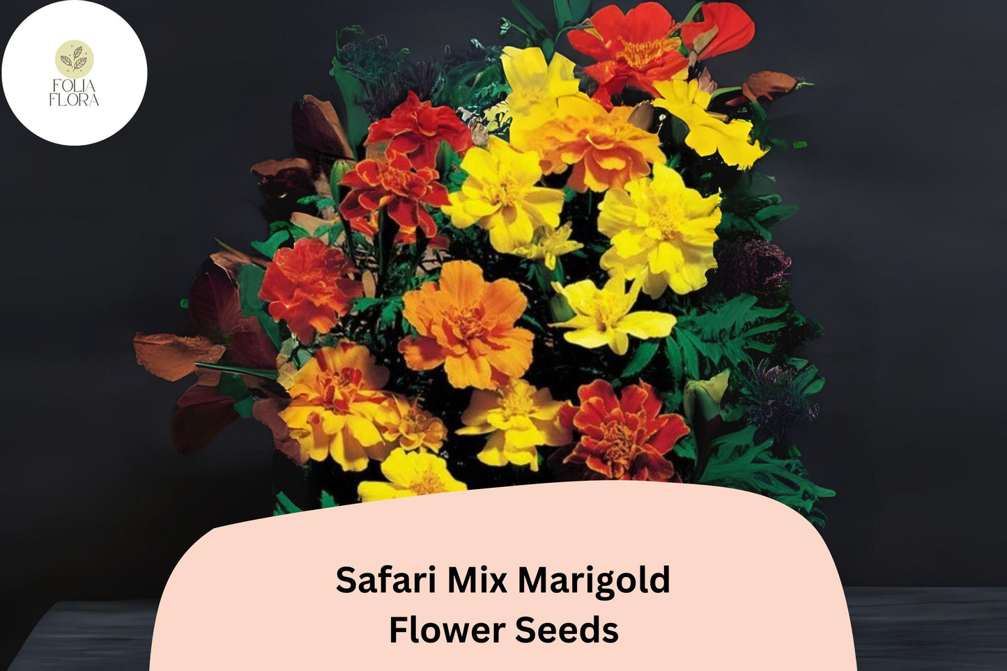 Marigold Seeds - 25+ Safari Mix - Vibrant Red, Yellow, Orange - Tagetes patula - Compact, Heat-Tolerant Annual for Gardens