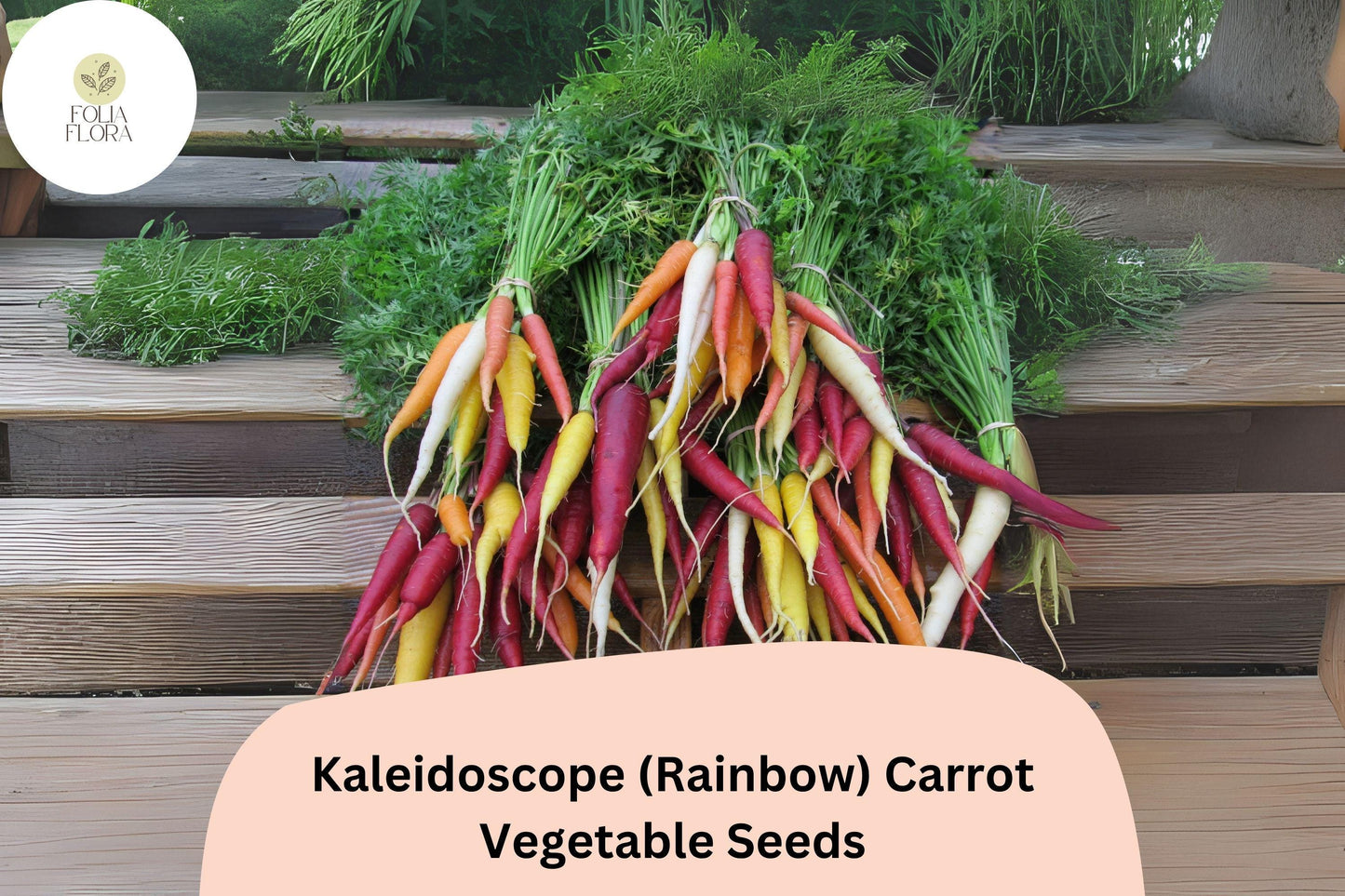 Kaleidoscope Rainbow Carrot Seeds - 1000+ Mixed Heirloom Vegetable Seeds, Daucus carota, Colorful Root Vegetables for Gardening