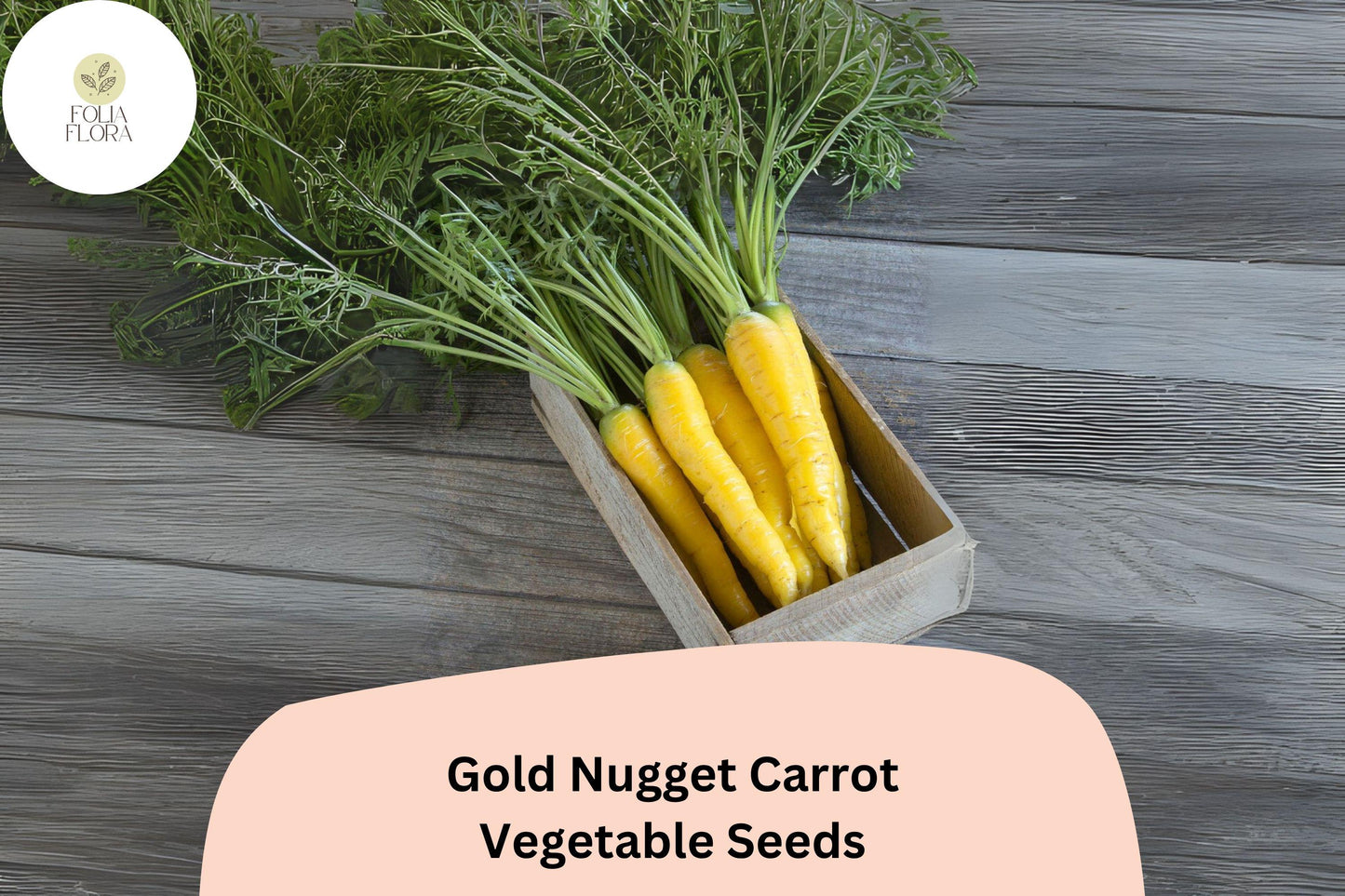 Gold Nugget Carrot Seeds | 1000+ Heirloom Golden-Yellow Roots | Daucus carota subsp. sativus 'Gold Nugget'