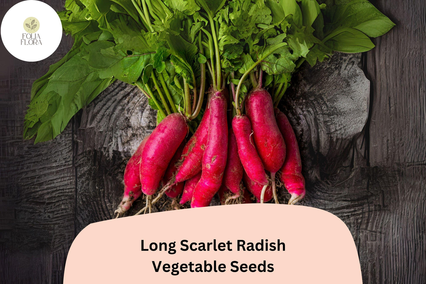 500+ Long Scarlet Radish Seeds | Heirloom Red Root Variety | Raphanus sativus ‘Long Scarlet’ | Quick Maturing Garden Seeds