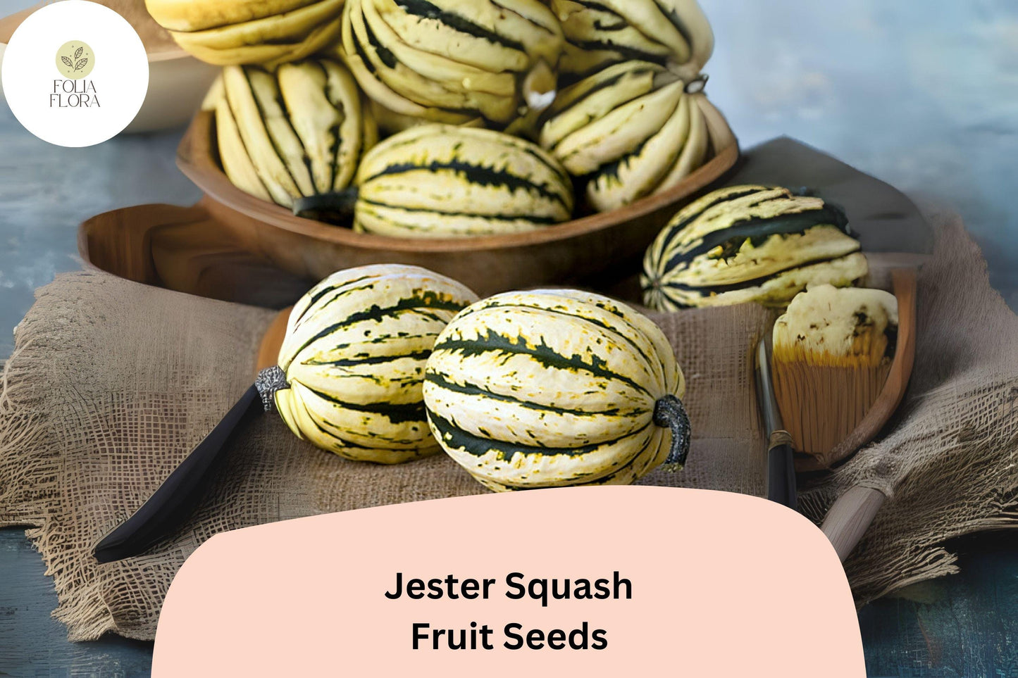 25+ Jester Squash Seeds | Cream and Green Striped Acorn-Delicata Hybrid | Cucurbita pepo Winter Squash for Garden Planting