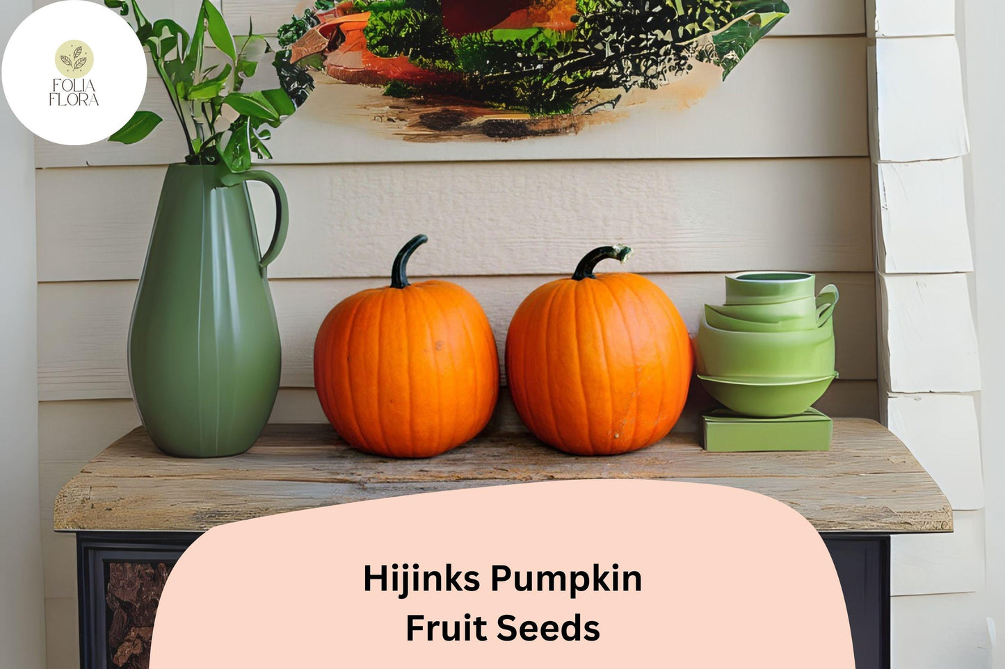 Hijinks Pumpkin Seeds | 25+ Bright Orange Mini Pumpkins | Cucurbita pepo | Award-Winning Fall Decor & Baking