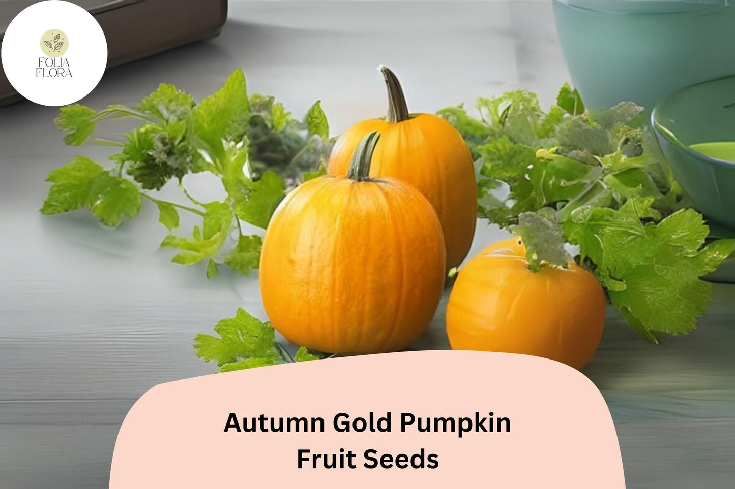 Autumn Gold Pumpkin Seeds | 25+ Seeds | Early Maturing Golden-Orange Fruits | Cucurbita pepo