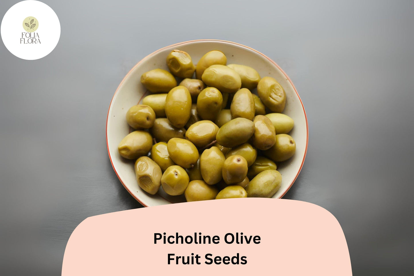 Picholine Olive Seeds – 10+ Heirloom Seeds for Mediterranean Garden, Olea europaea, Drought-Tolerant Bonsai Plant