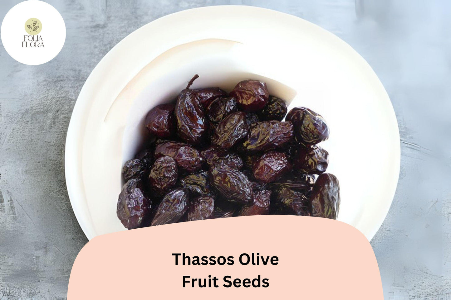 Thassos Olive Seeds (10+ Seeds) - Greek Heirloom Variety, Olea europaea, Ideal for Bonsai & Container Gardening, Drought-Tolerant