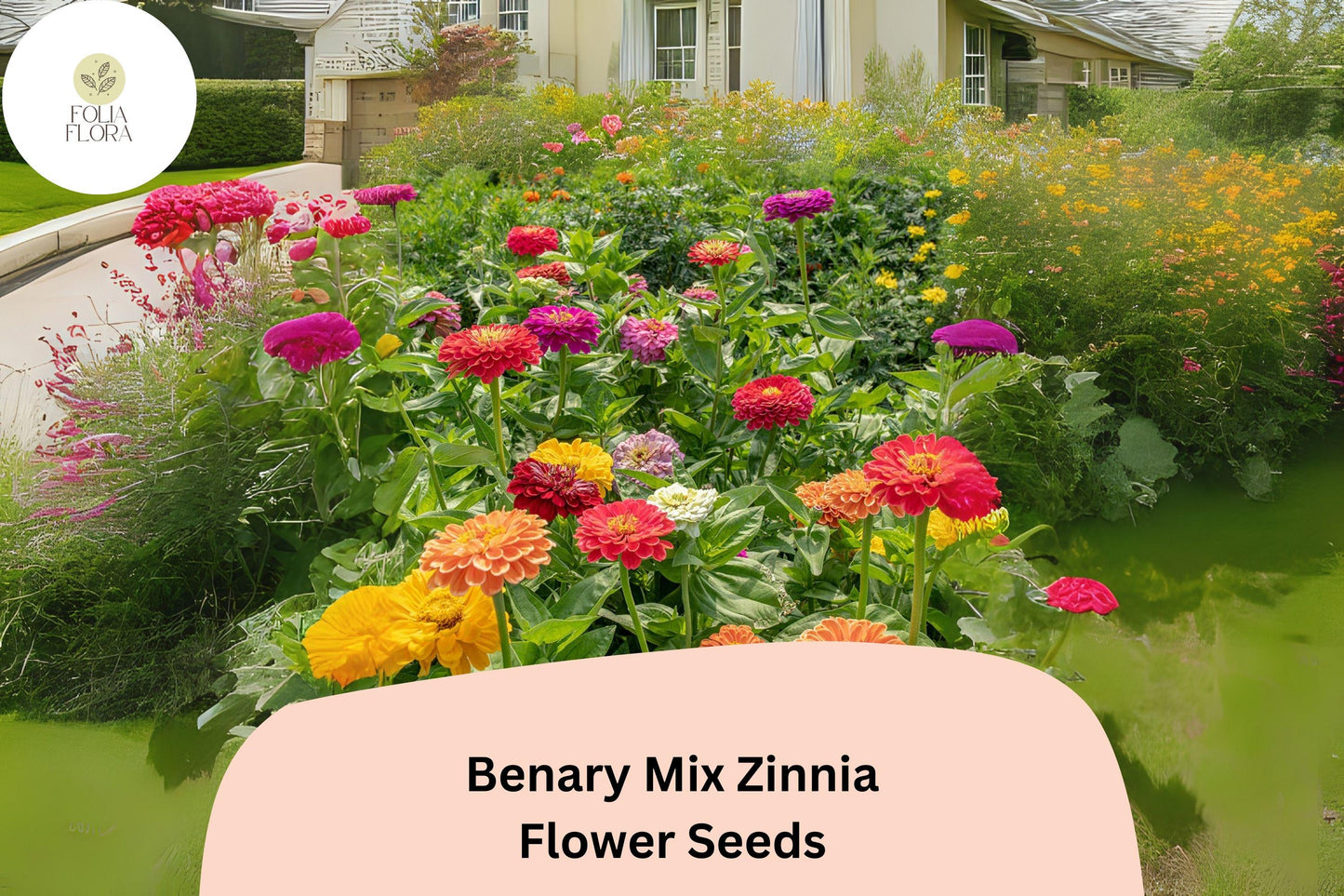 Benary Mix Zinnia Seeds - 100+ Non-GMO Large Double Blooms - Zinnia elegans - Colorful Annuals for Cut Flower Gardens