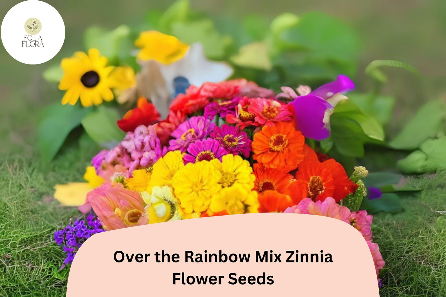 Over the Rainbow Mix Zinnia Seeds - 100+ Colorful Annual Flowers for Easy Planting - Zinnia elegans
